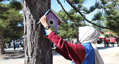 Kuş Evleri Gökçe Çamlığı'nda Yerini Aldı