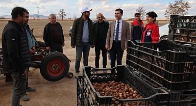 Lale Soğanları Toprak ile Buluşuyor