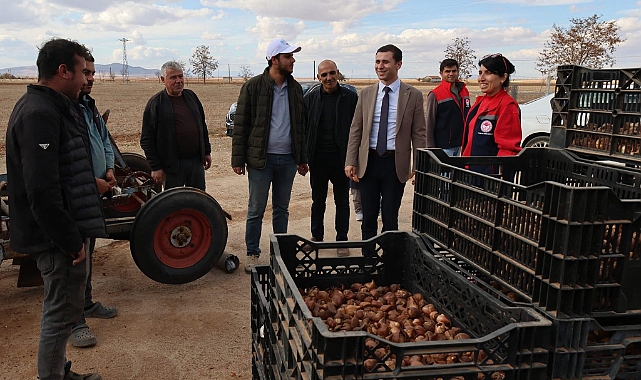 Lale Soğanları Toprak ile Buluşuyor