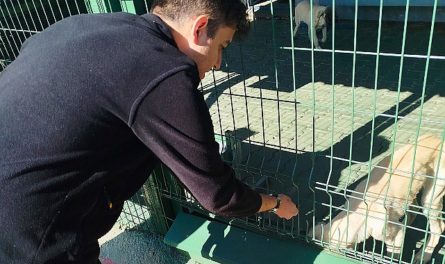 Piri Reis Erkek Yurdu Gönüllü Gençlerinden Hayvan Dostlarına Ziyaret