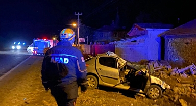 Yola Çıkan İnek kazaya neden oldu
