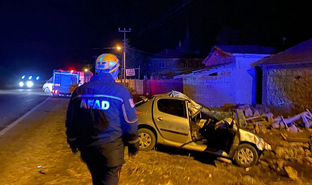 Yola Çıkan İnek kazaya neden oldu