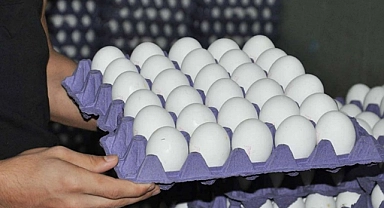 Yumurta Fiyatları Artıyor: Peki Karaman'da Yumurta Ne Kadar?