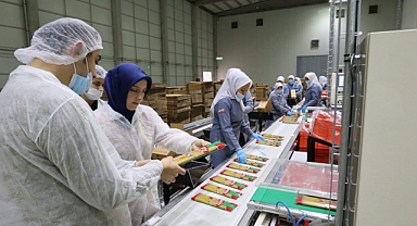 Anı Makarna Günde 120 Ton Makarna üretiyor
