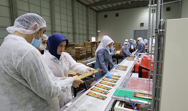 Anı Makarna Günde 120 Ton Makarna üretiyor