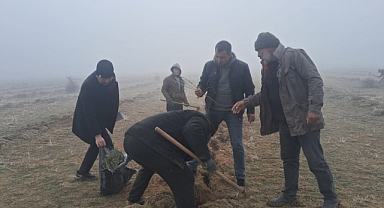 Arazilere tuz çalısı ekimi devam ediyor