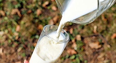 Çiğ süte yeni yıl zammı