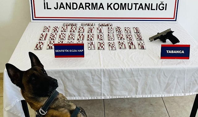 Jandarma ve Erek'ten uyuşturucuya geçit yok