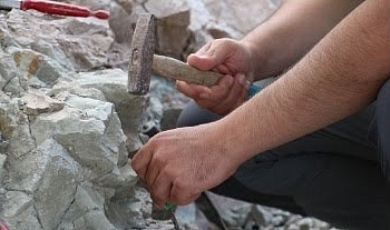 Karaman’daki 13 Bin Yıllık Fosil, Koyun Evcilleştirmenin Gizemini Çözüyor!