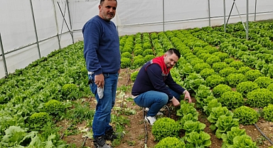 Ermenek'te Seralarda Yetişen Ürünler bölgenin sebze ihtiyacını karşılıyor