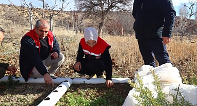 Karaman'da ilk kez ekimi yapılan salebi soğuk vurdu