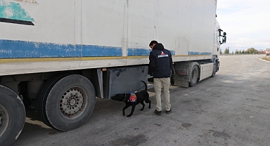 Kazımkarabekir’de Ocak ayında 12 bin 166 şahıs sorgulandı