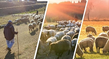 Sürü Yöneticisi (Çoban) İstihdam Desteği İcmalleri askıya çıktı