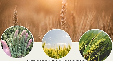 Arpa ve Buğday Üreticileri Askı İcmali çıktı