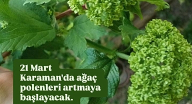Karaman'da Ağaç Polenleri Artmaya Başlayacak
