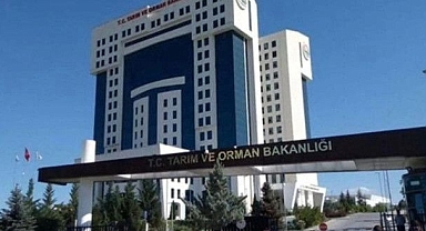 Karaman'da iş arayanlar dikkat! Bakanlık 30 kişi alacak