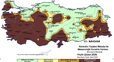Karaman Şiddetli Kuraklık Yaşıyor