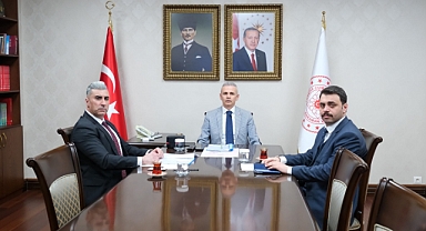 Sokak Hayvanlarına yönelik çözüm odaklı adımlar atılacak