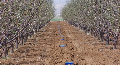 Üreticilere mavi leğen uygulaması önerisi