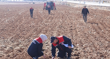 Yerli Nohut Çeşitleri Çiftçi İle Buluşuyor