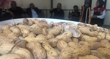 Göksu'da Fıstığın Lezzeti Projesi hayata geçiriliyor