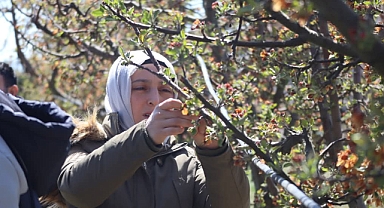 Karaman'da don zararı tespit çalışmaları başladı