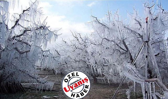 Karaman Son 75 Yılın En Şiddetli Don Olayını Bu Yıl Yaşadı