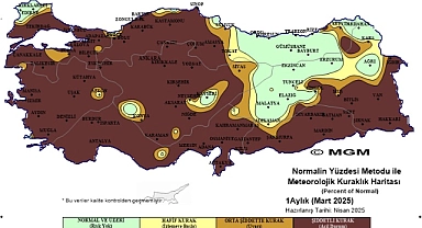 Meteoroloji'nin Korkutan Haritası Yayınladı: Karaman Kahverengiye Döndü