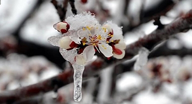 Meteorolojiden Karaman için zirai don uyarısı