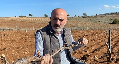 Üzüm Bağları da dondan nasibini aldı