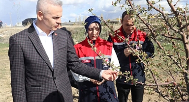 Vali Çiçekli, Don Afetinden zarar gören alanlarda üreticileri ziyaret etti