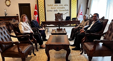 Vali Yardımcısı Çiçekli Başyayla ve Sarıveliler ilçelerindeydi