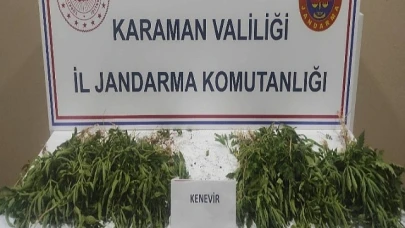 Jandarma'dan Uyuşturucuya da, kaçakçılığa da geçit yok