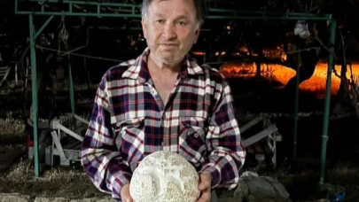 Dev Mantar Görenleri Şaşırttı