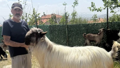 Bayram: Kurban bağışında önceliğimiz memleketimiz olmalı