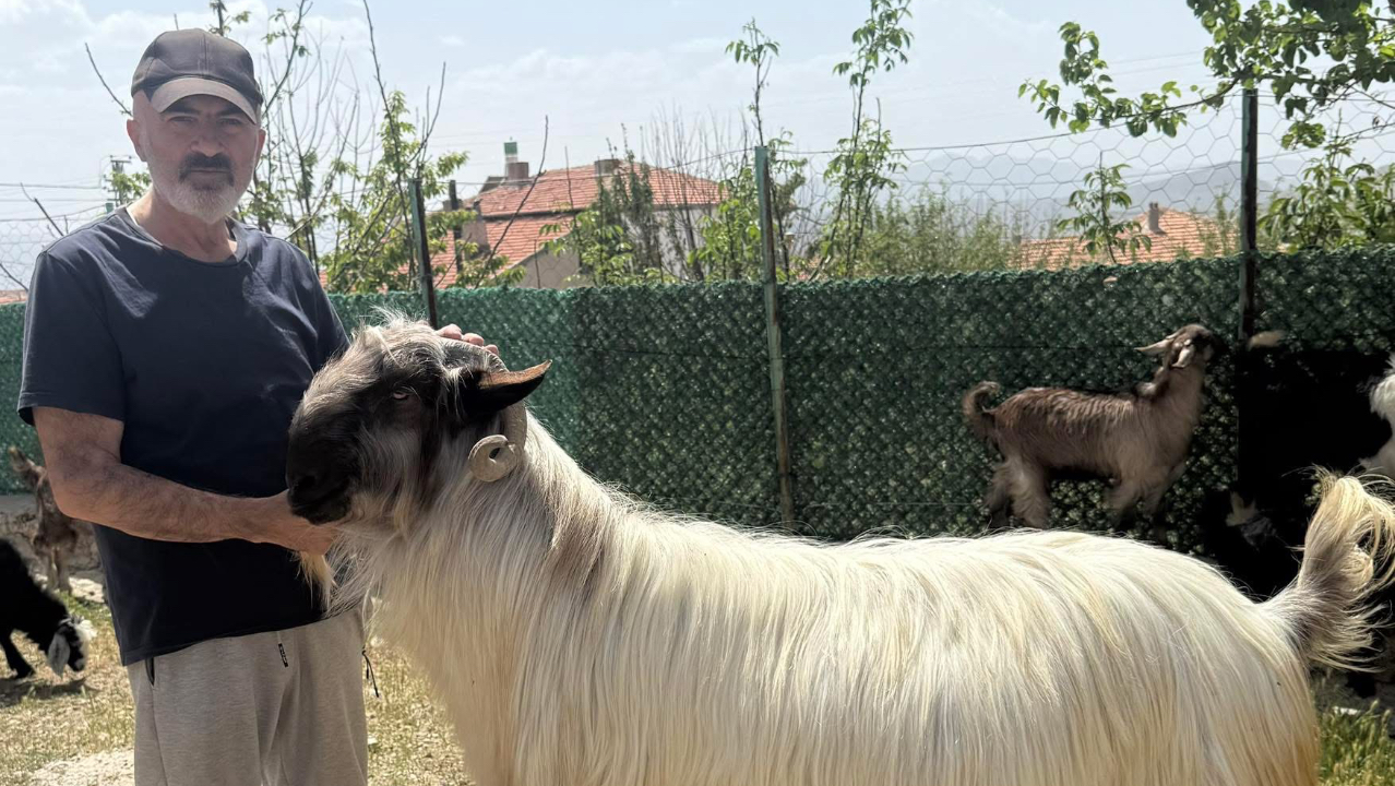 Bayram: Kurban bağışında önceliğimiz memleketimiz olmalı