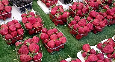 Karaman'da semt pazarında fiyatlar