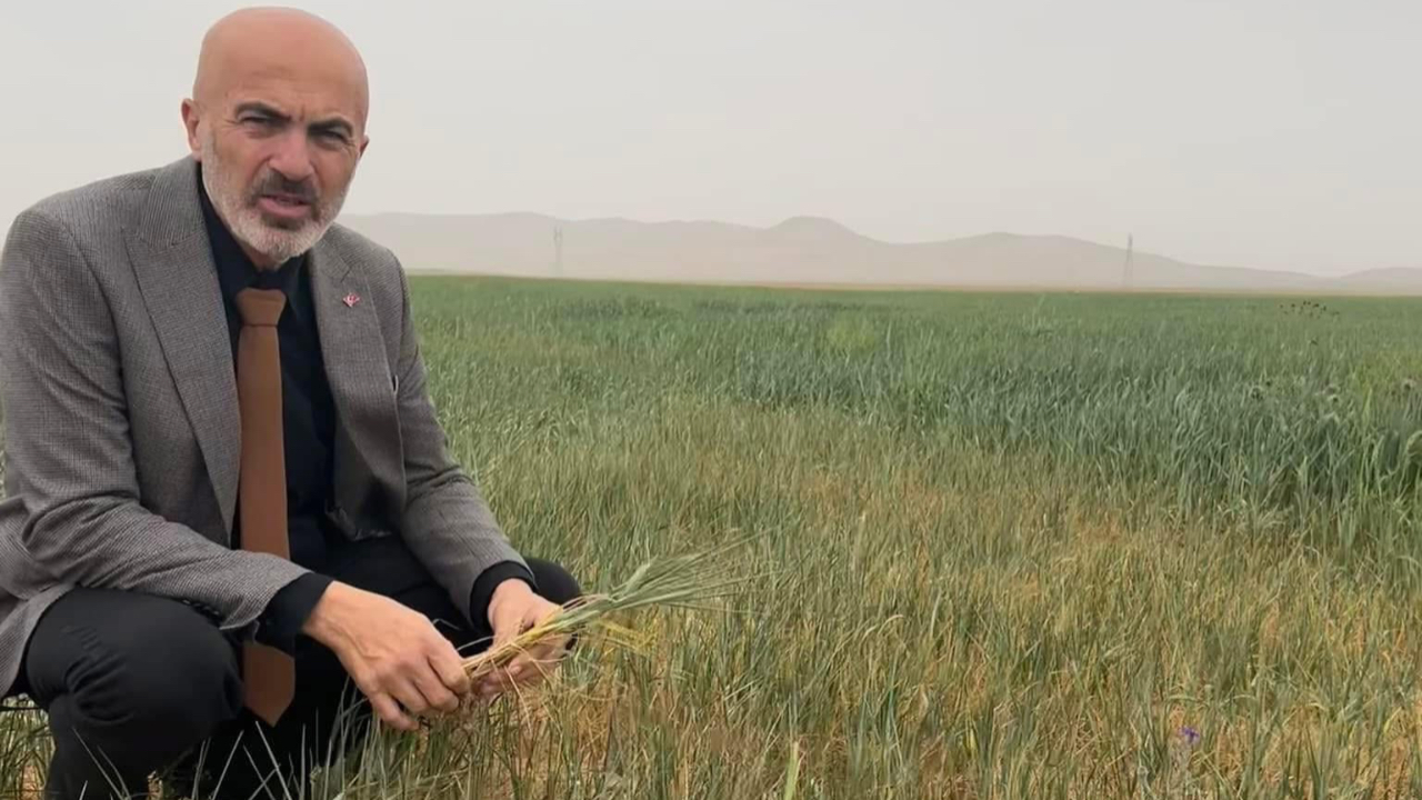 Bayram: 2025 Yılı Hububat Alım Fiyatları Üreticimizi Memnun Etmedi