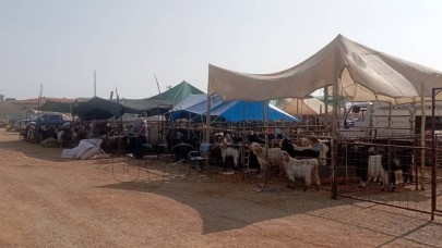 Kurbanlık Pazarı, Karaman'da Kuruldu