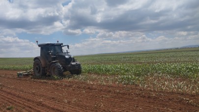 200 Dekarlık Mısır Tarlasına Dron İle Sabotaj!