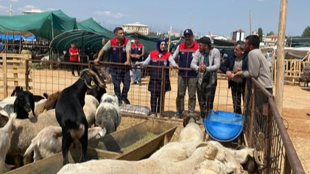 Kurban Pazarı Denetlendi