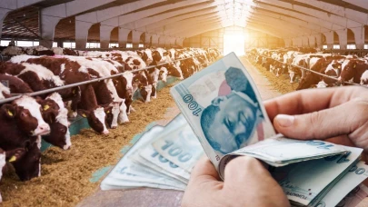 Çiftçilere koyun desteği müjdesi geldi!