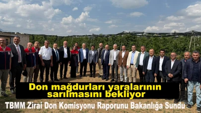Don mağdurları yaralarının sarılmasını bekliyor