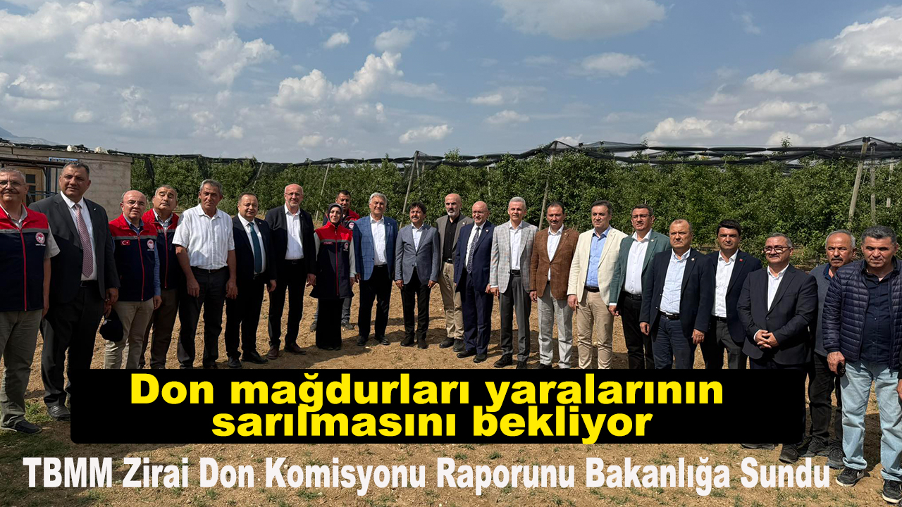 Don mağdurları yaralarının sarılmasını bekliyor