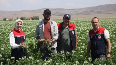 Karaman, Patates üretiminde marka olma yolunda ilerliyor