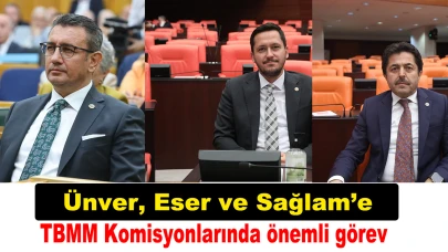 Ünver, Eser ve Sağlam'a TBMM Komisyonlarında önemli görev