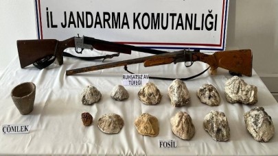 Karaman’da çok sayıda fosil ele geçirildi