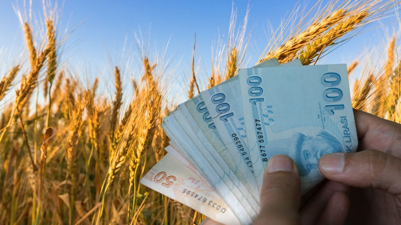 Çiftçilere yepyeni destek! Tam 5 gün kaldı