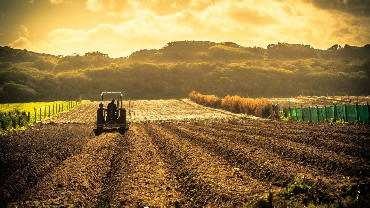 Tarım Müdürlüğü 66 milyon TL tarımsal yardım!