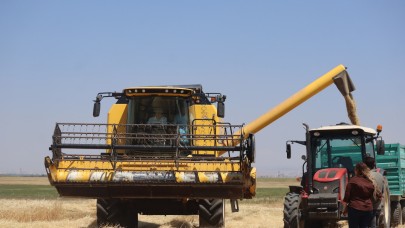 Vali Çiçekli biçerdöver kullandı. Arpa hasat etti